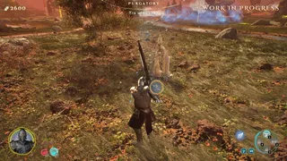 Land of the Dead Trees