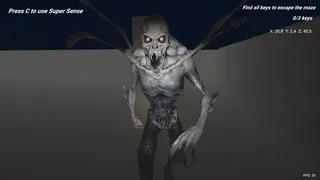 SHADOW MAZE Descent into Fear