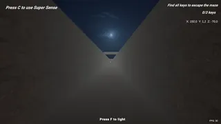 SHADOW MAZE Descent into Fear