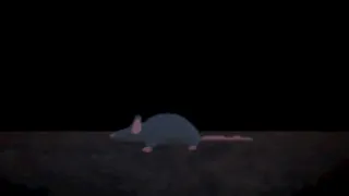 Скриншот 6 к игре Ratfall