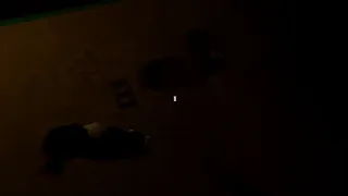 A Quiet House in Flatbush