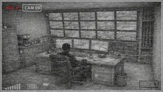 Cats Hidden in the Casino