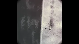 O EMPIRE! WARD OFF THY ROT