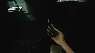 Before the Silence Claims: In Absentia