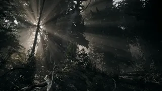 Скриншот 5 к игре Nature of Dread