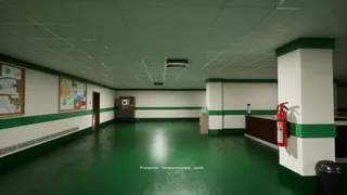 Echoes of Sin: Confusion