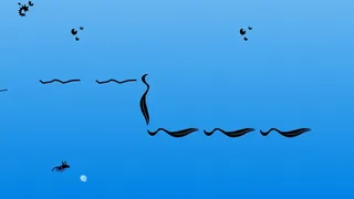 Euphausia superba: The Antarctic Krill