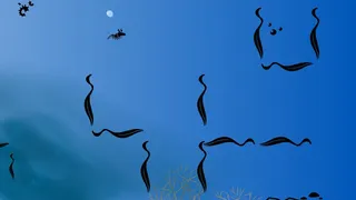 Скриншот 5 к игре Euphausia superba: The Antarctic Krill