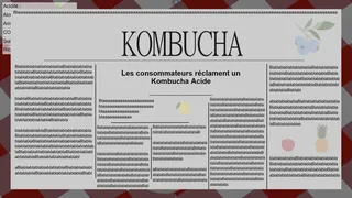 Скриншот 6 к игре Kombucha Craft