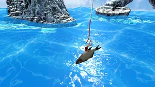 Bungee Fisher