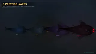 The Ocean is not Water