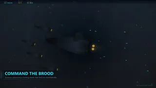 The Ocean is not Water