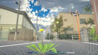 タンポポは耐える。