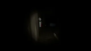 The Secret of Island of Fear