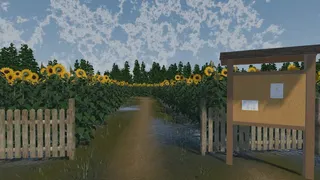 The Path of the Sunflower