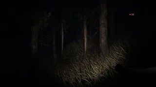 Скриншот 5 к игре STILL BOUND