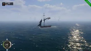 Pirate life