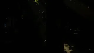 Скриншот 7 к игре Deprivation