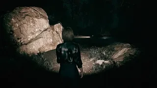 Скриншот 7 к игре Residual Light