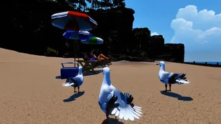 Stealgulls