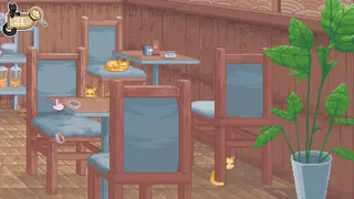 A Neighborhood of Cats