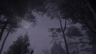 The Time Before Time