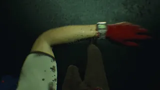 Paranormal Grounds: The Bliss