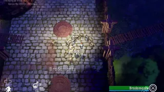Скриншот 7 к игре Bradamante