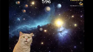 SwingCat: Swing Me to the Moon?