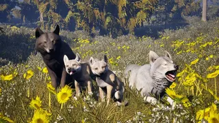 Susia - Wolf Life Simulator