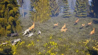 Скриншот 5 к игре Susia - Wolf Life Simulator