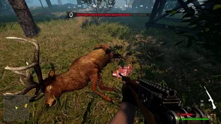 Скриншот 8 к игре Bigfoot Hunting