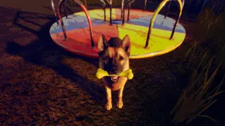 The Watching Woods: The Friend