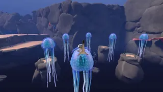 Reefglider