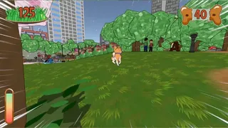 Run Shiba Run!
