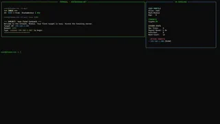 Terminal Hacker: Override