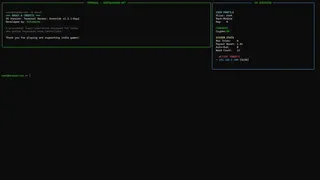 Terminal Hacker: Override