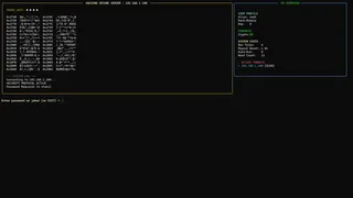 Terminal Hacker: Override