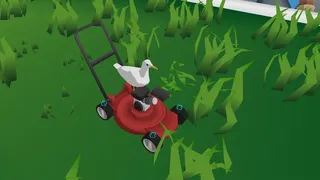 Seagull Simulator