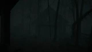 Скриншот 6 к игре The Last Letter