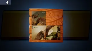 Saylor Assassin Puzzle