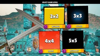 Saylor Assassin Puzzle