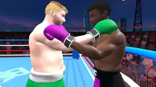 Pro Sports Boxing