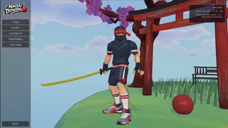 Ninja Dodgeball