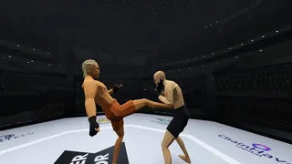 MMA Career Simulator