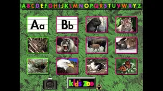 Kid's Zoo: A Baby Animal Adventure