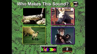 Скриншот 6 к игре Kid's Zoo: A Baby Animal Adventure