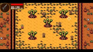 The Bandits of Sierra Fria