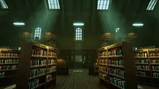 The Restricted Index