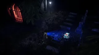 Deceptive Shadows: Final Case